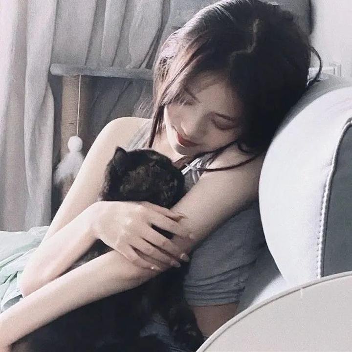 网中人粤语