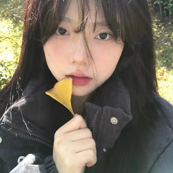 还珠格格第三部